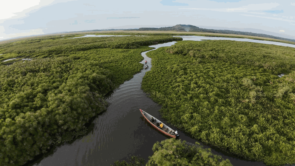 Mabamba Wetland Aerial Image Uganda Shoebill