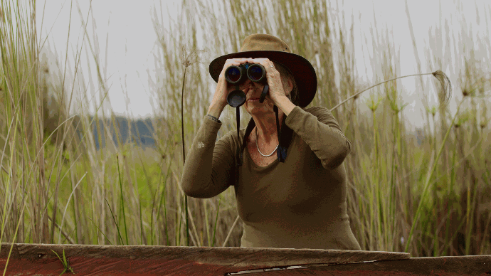 Tourist Viewing Shoebill Mabamba Wetland